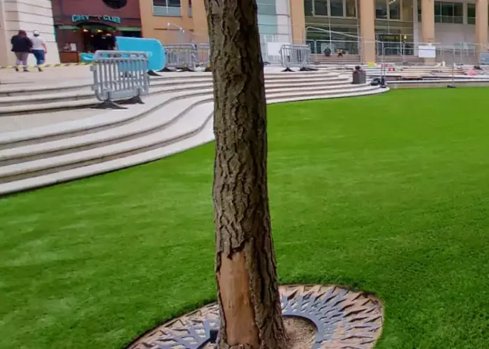 turf at uni