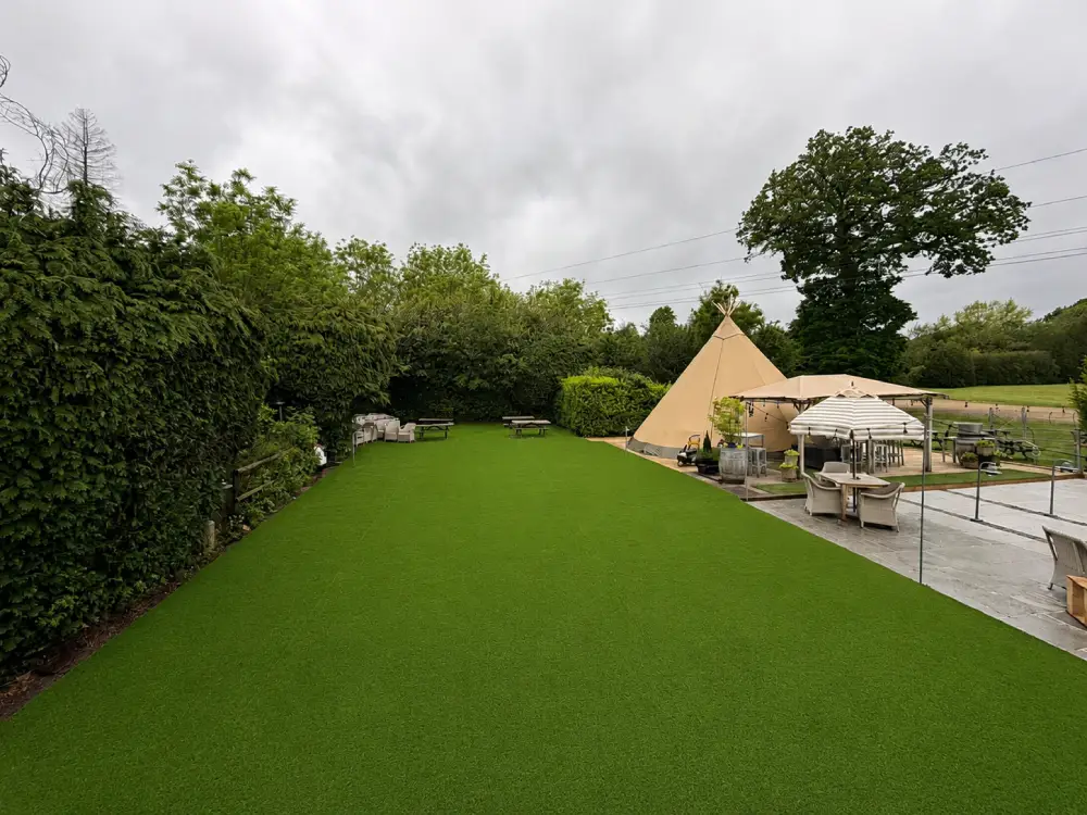 cleaner texture of artificial grass
