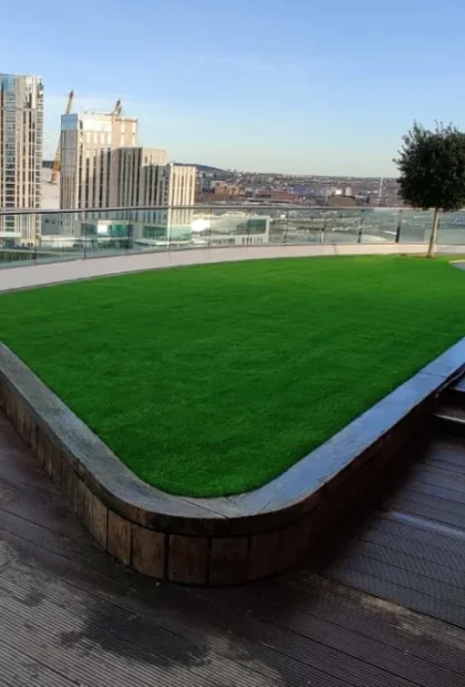 Home lawn Home lawn