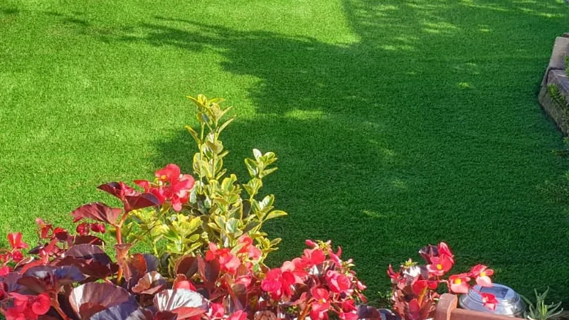 artificial grass installed in garden