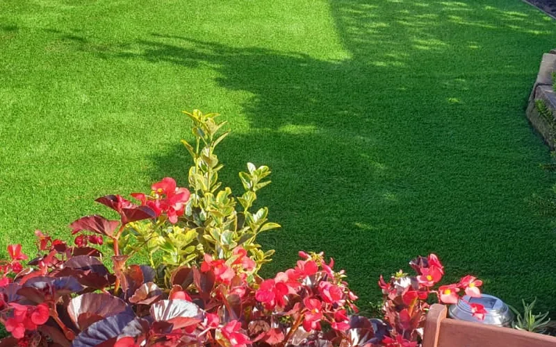 artificial grass installed in garden