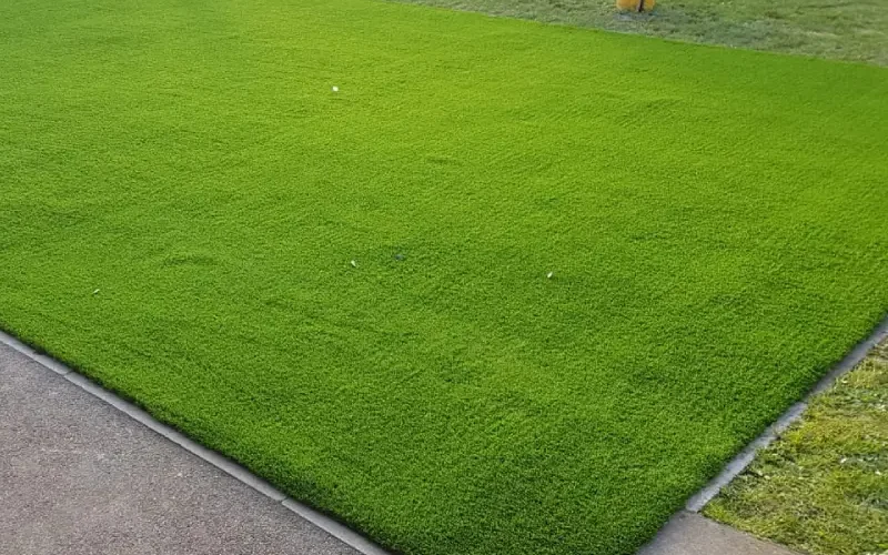 grass instal at kids ground