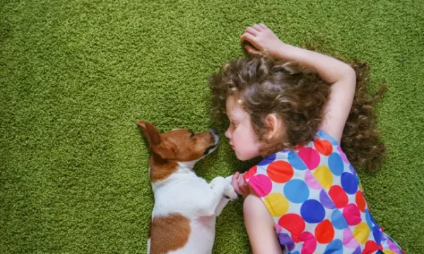 kids and pet friendly