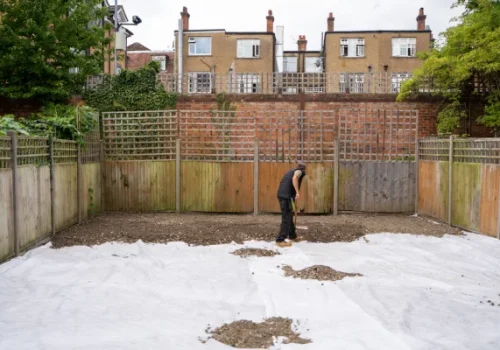 lawn transformation1