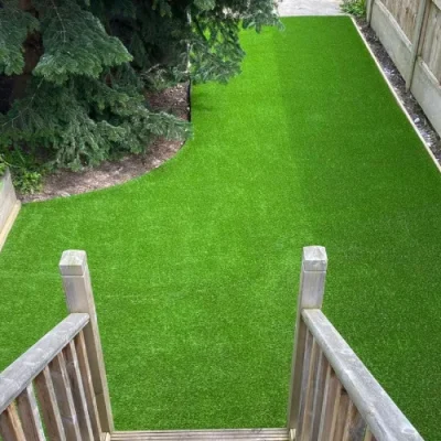 premiere grass (1)