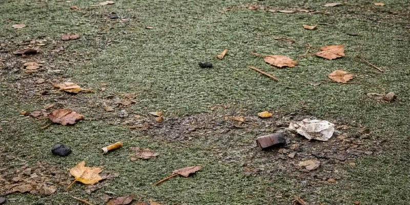 wet smelly grass